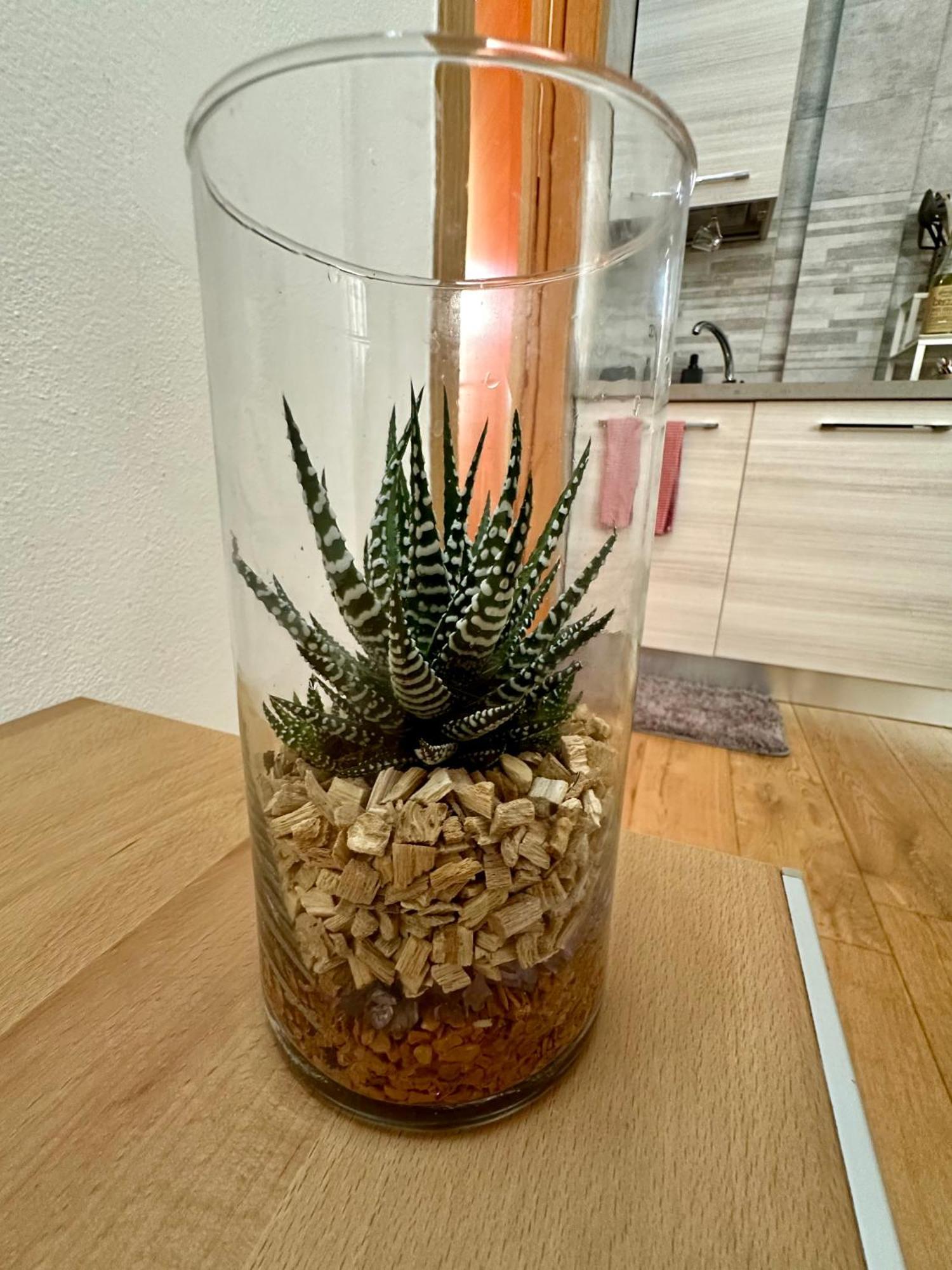 Casalory Rent Apartment Floransa Dış mekan fotoğraf